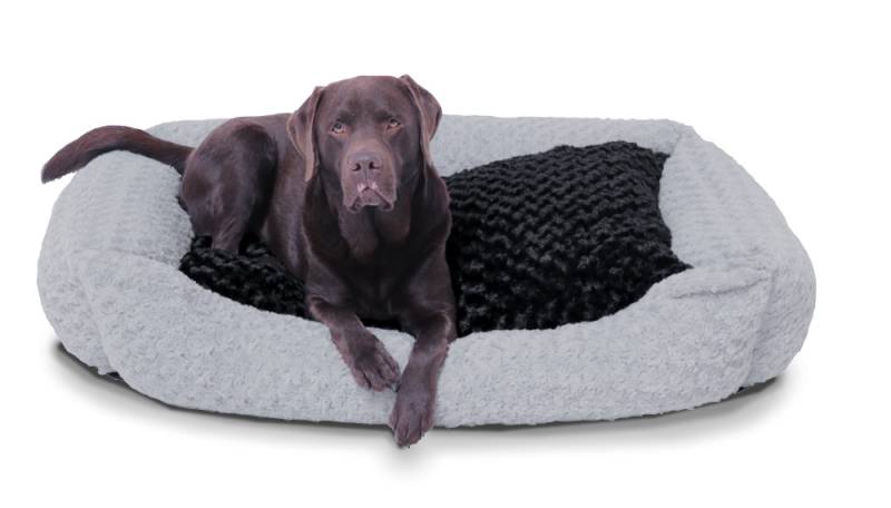 Hundekissen in Hellgrau, plüschig, mit Wendekissen 120 x 80 cm, Memory Foam
