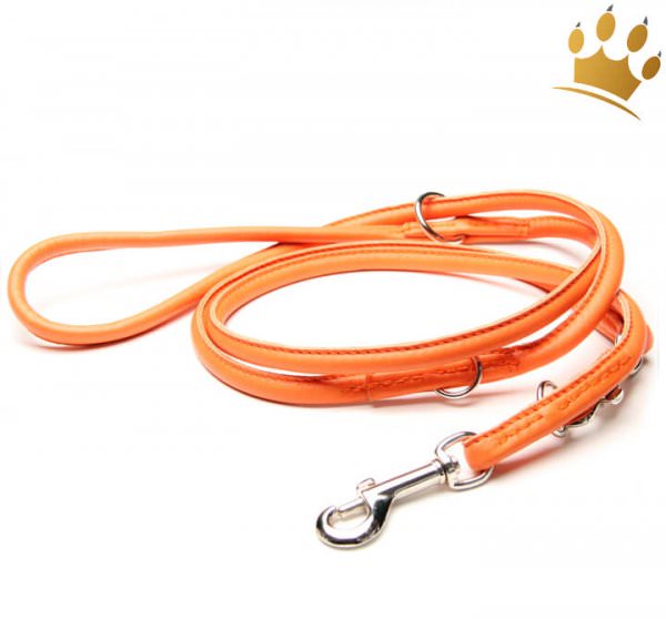 Hundelederleine Fresh Colour Rundgenäht 200cm