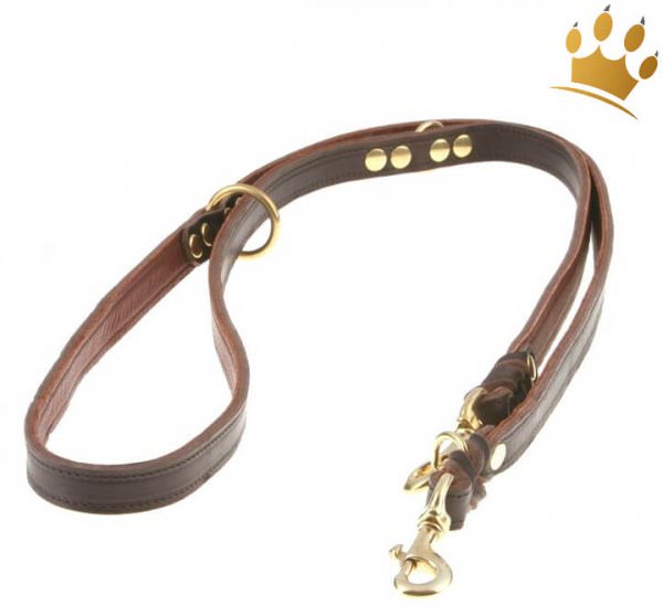 Hundeleine Luxor Braun 200cm