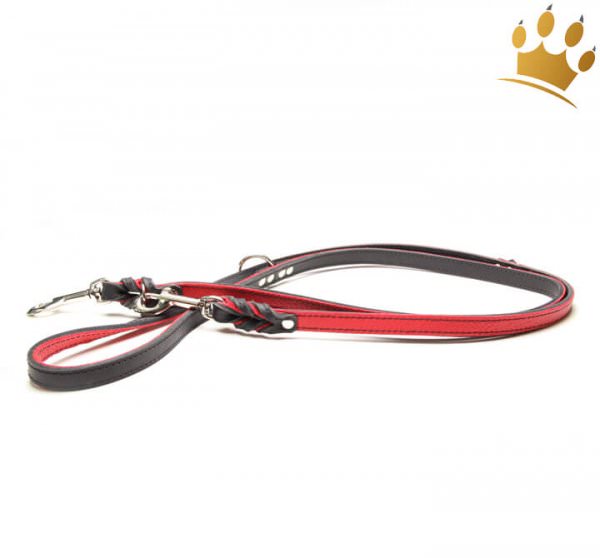 Hundeleine Silver Rot 200cm