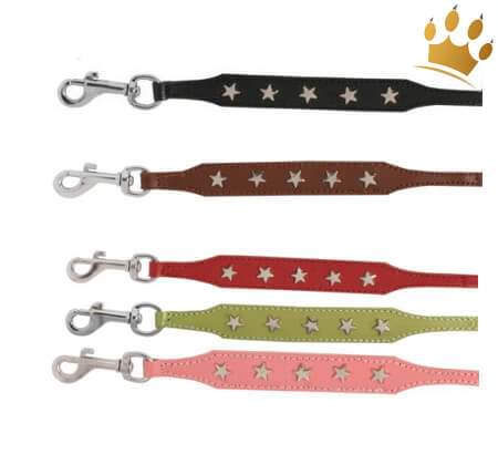 Hundeleine Silverstar