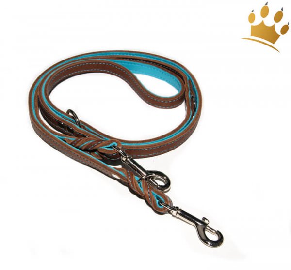 Hundeleine Tirol Braun/Türkis 200cm