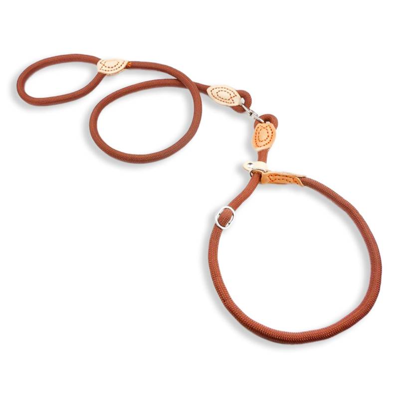 Hundeleine mit Zugstopp Halsband f?r gro?e Hunde braun