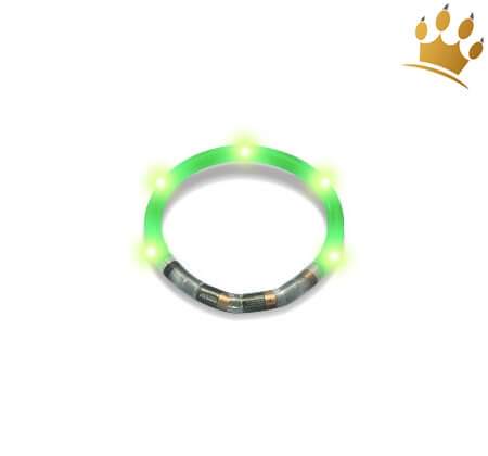 Hundeleuchtring Grün