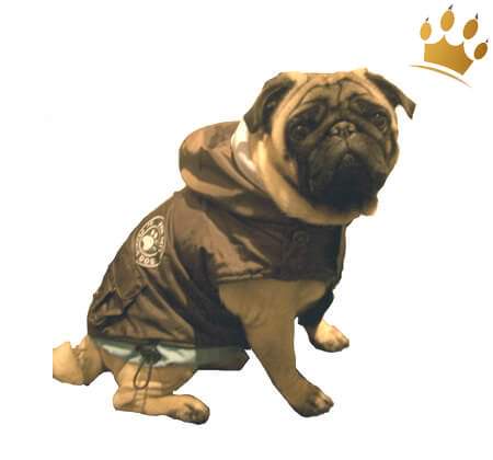 Hundemantel City Paw Blau