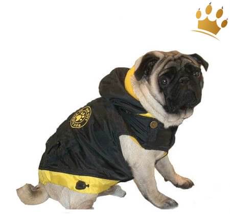Hundemantel City Paw Gelb
