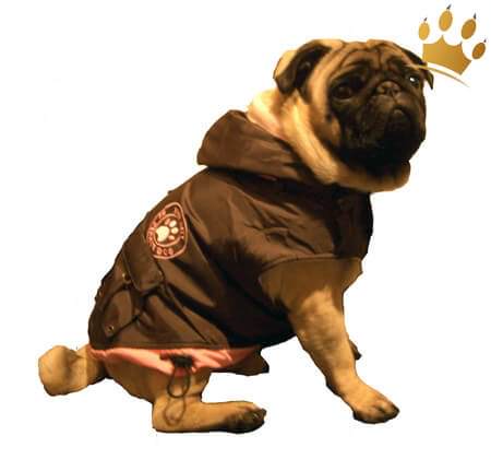 Hundemantel City Paw Rosa