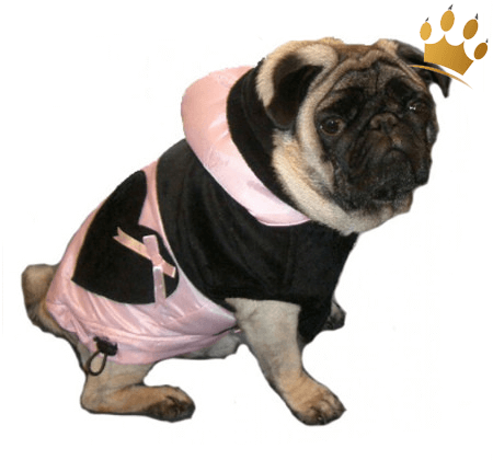 Hundemantel Little Missy Schwarz