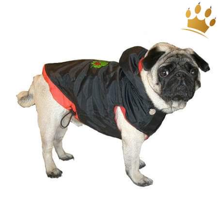 Hundemantel Lucky Dog