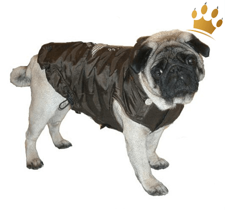 Hundemantel Route 66 Braun