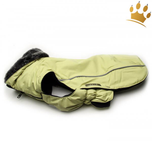 Hundeparka Polarbär Pistazie