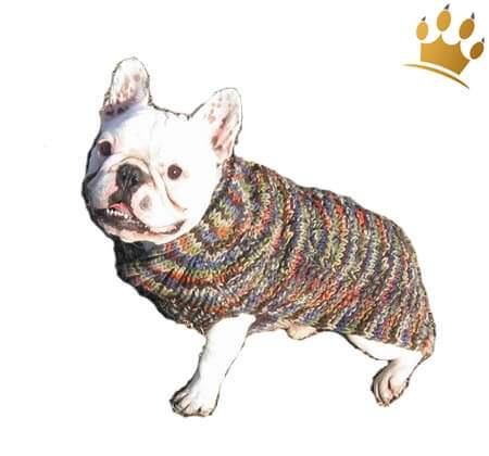 Hundepulli Cable Shawl Multi