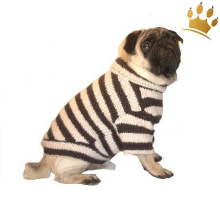 Hundepullover Kampen Creme