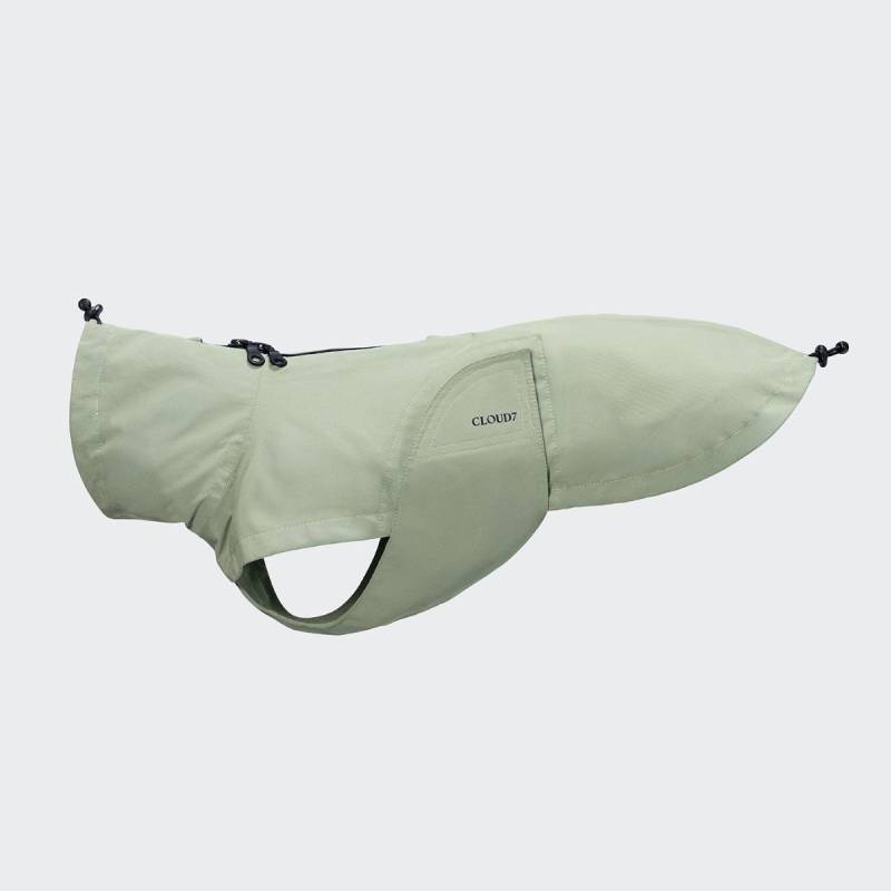 Hunderegenmantel Dublin 2.0 Dackel Dusty Mint 4
