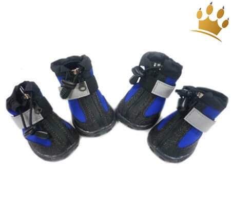 Hundeschuhe Allwetter Black/Blau