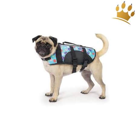 Hundeschwimmweste Blue Flower