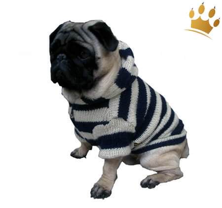 Hundestrickjacke St. Moritz Navi