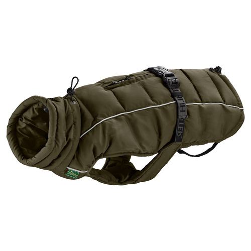 Hunter Hundemantel Paxson Dachshund oliv, Größe: 40 cm