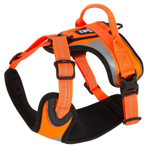 Hurtta Dazzle Geschirr orange, Brustumfang: 100 - 120 cm