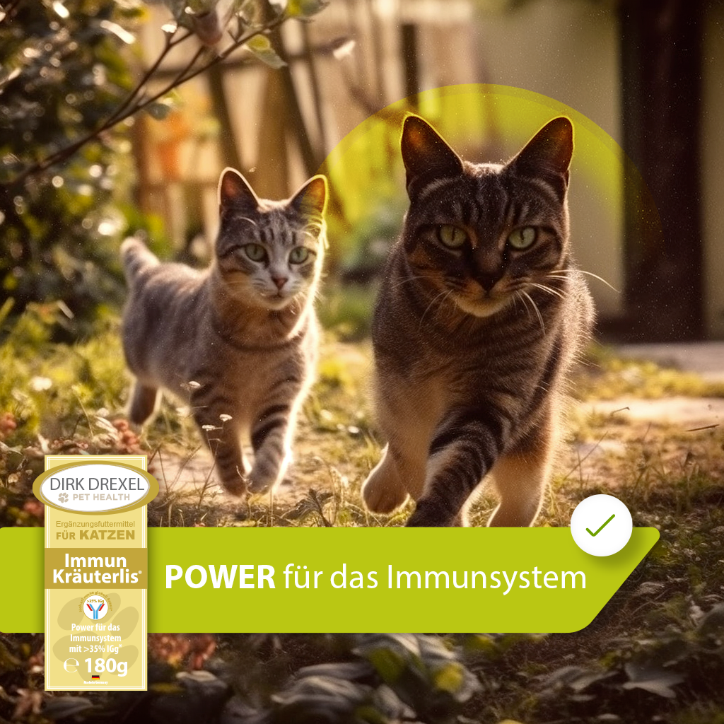 Immunsystem Booster Katzen