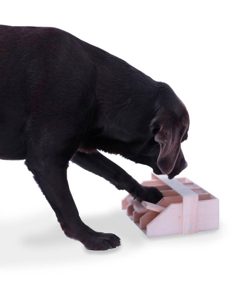 Intelligenzspiel Hundeklavier, Holz-Hundespielzeug Intelligenzspiel Hundeklavier, Holz-Hundespielzeug