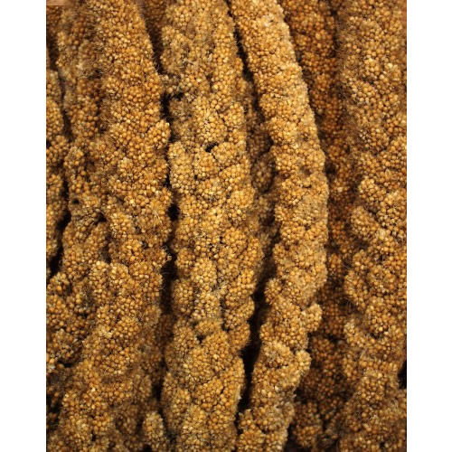 JR Birds Kolbenhirse gelb 1 kg - 12 Stück JR Birds Kolbenhirse gelb 1 kg - 12 Stück