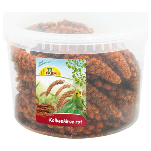 JR Farm Kolbenhirse rot im Eimer 500 g