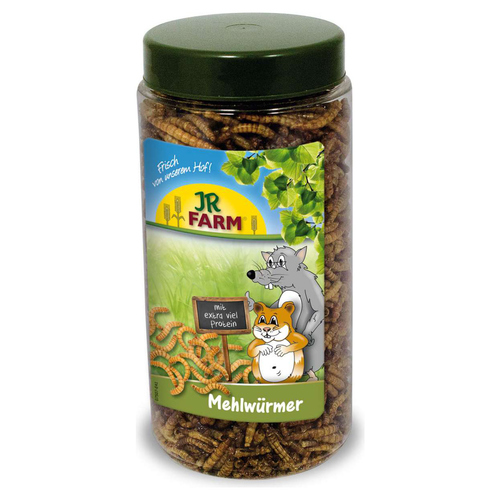 JR Farm Mehlwürmer in der Dose 70 g - 5 Stück