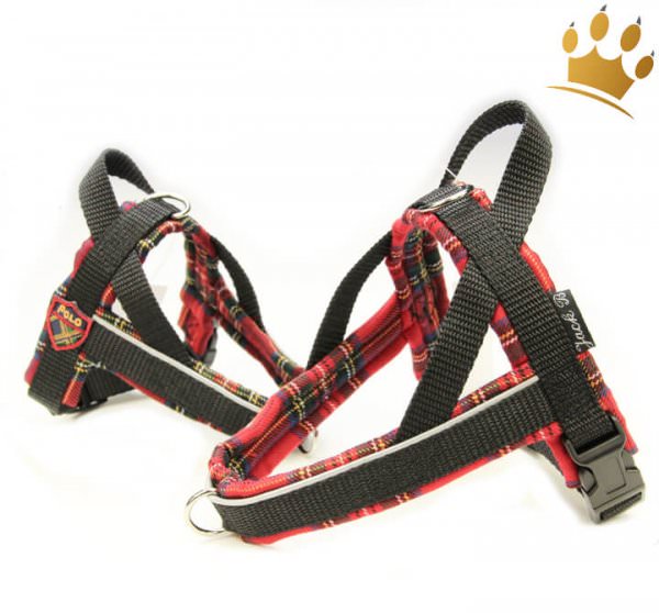 Jack-B Hundegeschirr Tartan