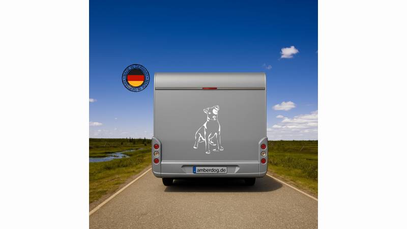 Jack Russel Terrier Auto Wohnmobil Aufkleber I Wandtattoo - H50cm / Schwarz