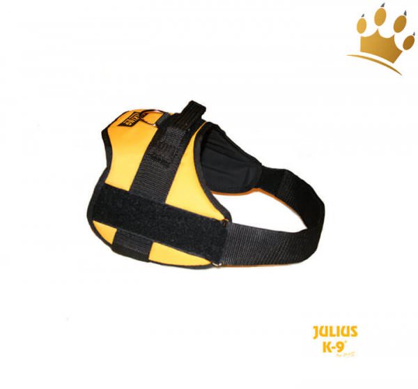 Julius-K9® Talking Power Pro maisgelb