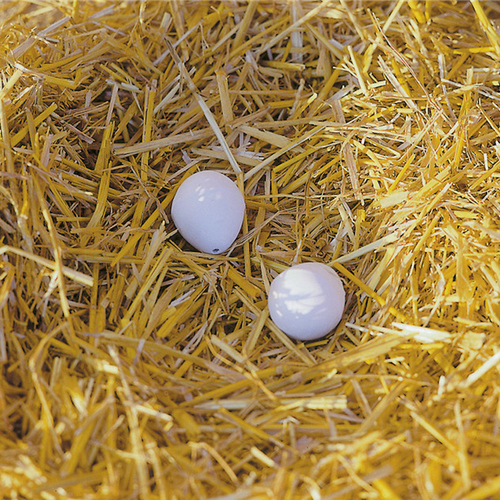 KERBL Farm Nesteier Ton für Hühner (2 Eier/Blister)