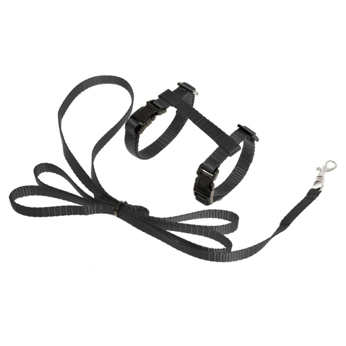 Karlie Kätzchengarnitur schwarz