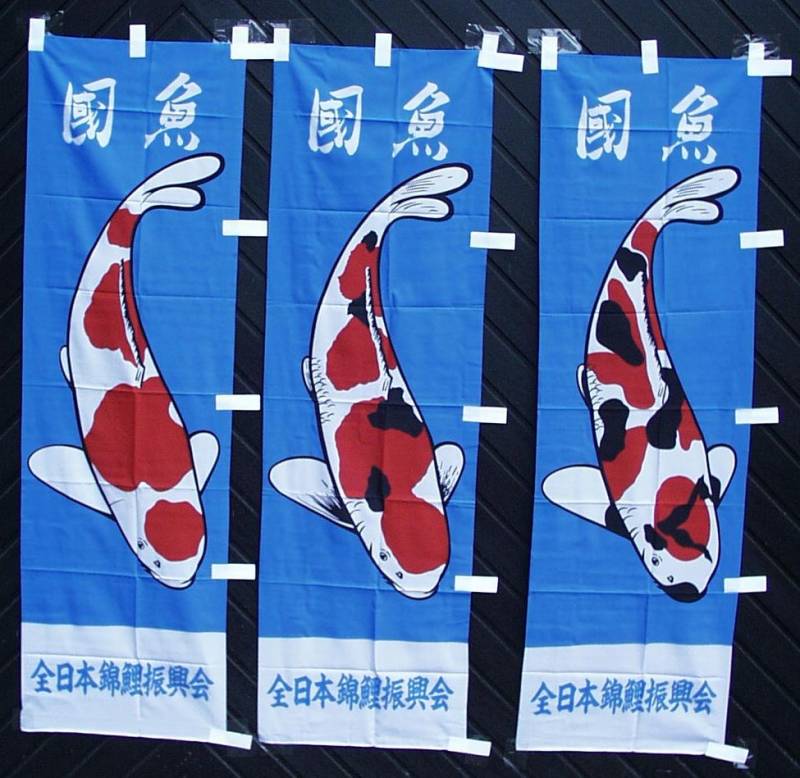 Koi-Fahnen Set