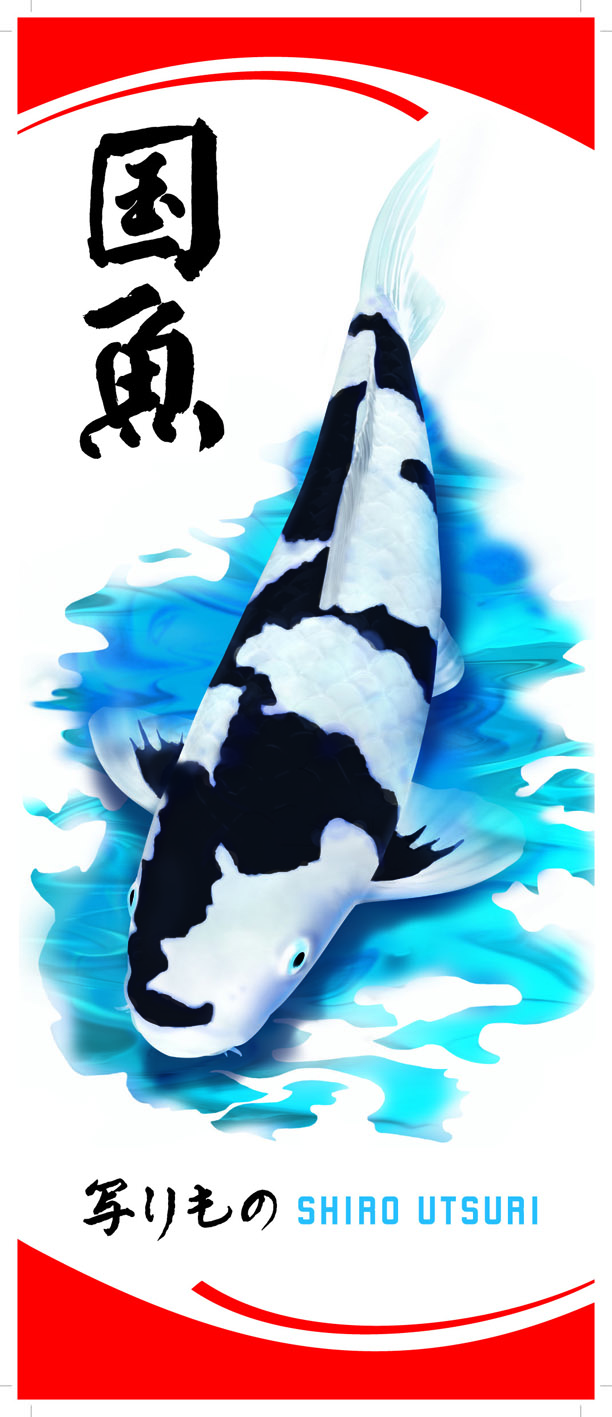 Koi-Fahnen Shiro Utsuri