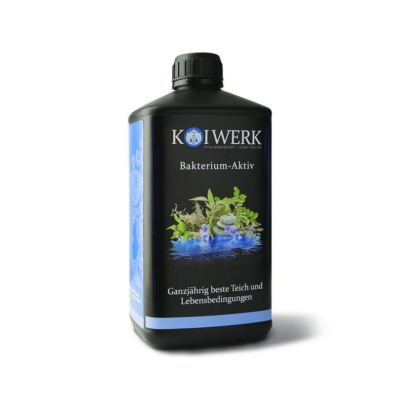 Koiwerk Bakterium-Aktiv 1 Liter