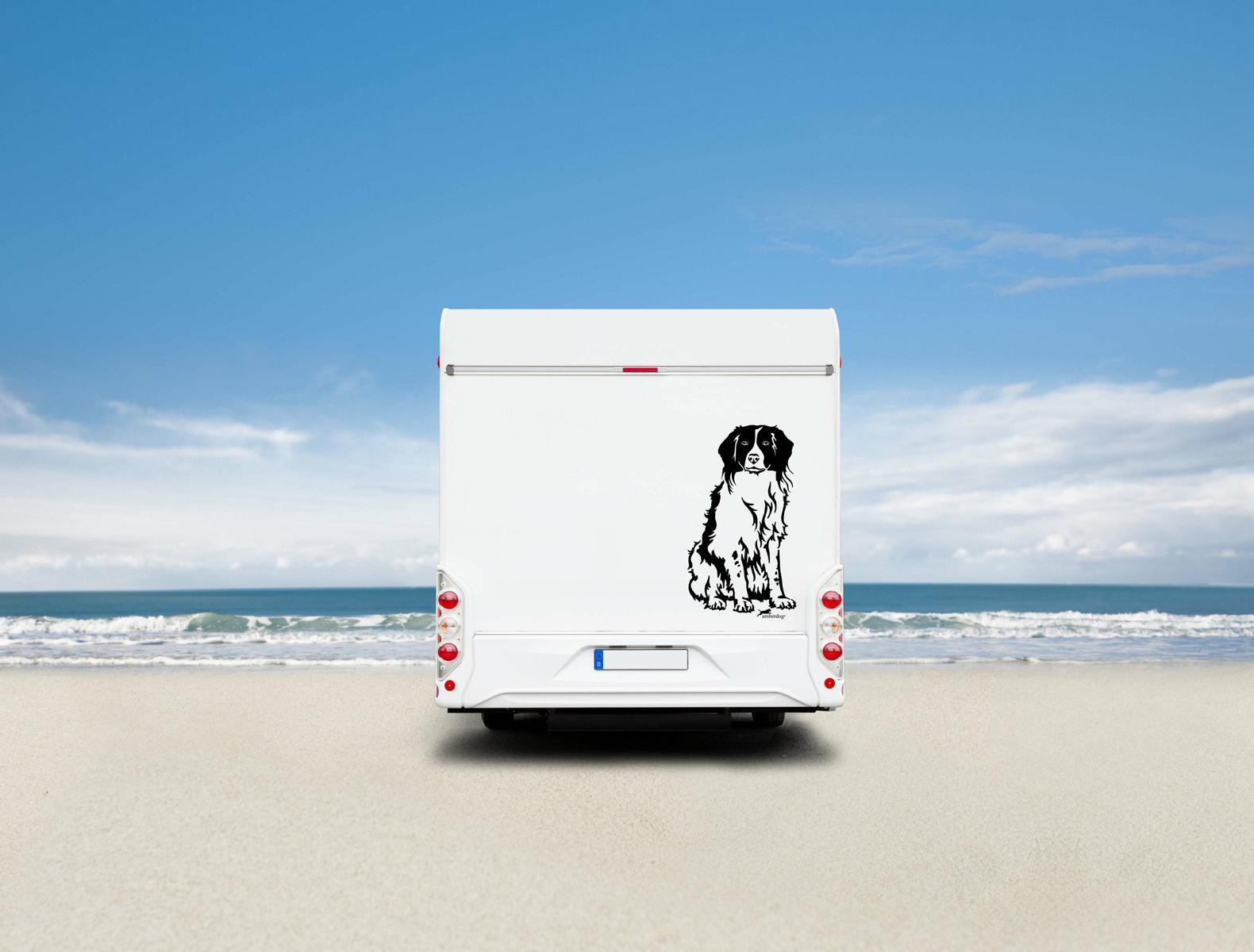 Kooikerhondje Auto Wohnmobil Aufkleber  I Wandtattoo - H50cm / Weiß