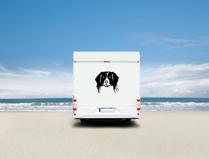 Kooikerhondje Kopf Auto Wohnmobil Aufkleber I Wandtattoo - H50cm / Schwarz Kooikerhondje Kopf Auto Wohnmobil Aufkleber I Wandtattoo - H50cm / Schwarz
