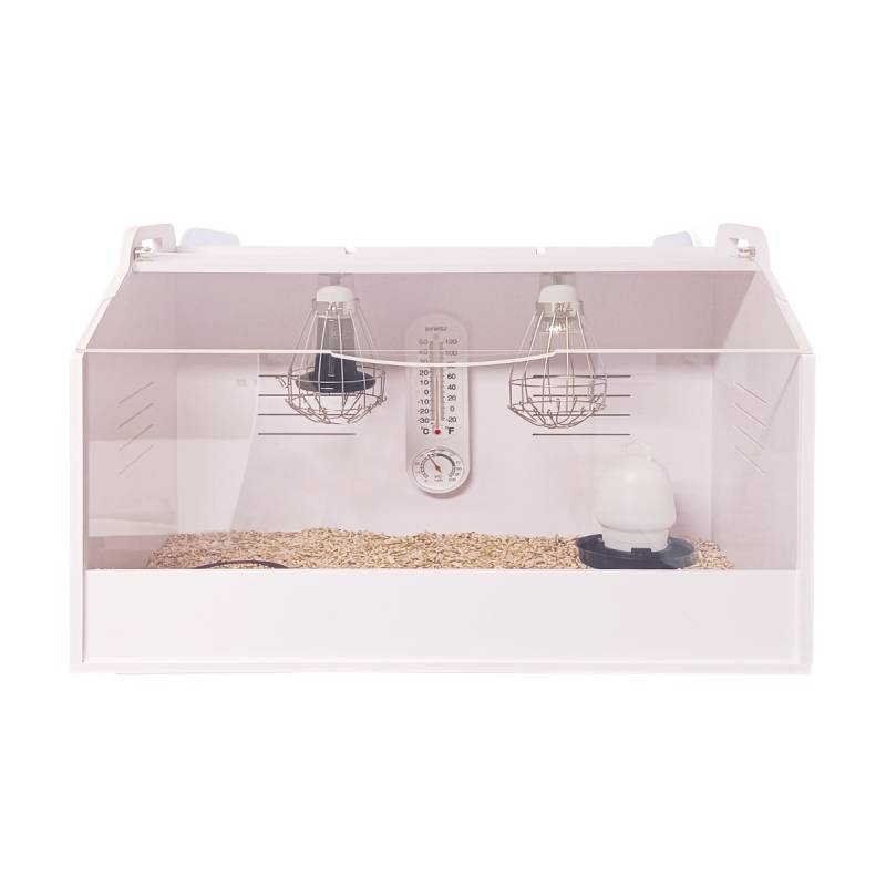 Kükenaufzuchtbox - Kükenheim - Brutbox - Easy 60 cm - Komplettset