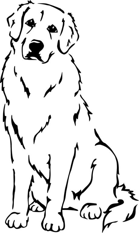 Kuvasz Grafiklizenz Kuvasz Grafiklizenz