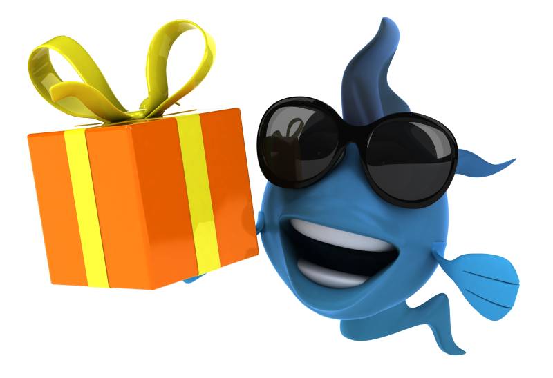 LEDaquaristik Geschenkgutschein – Freude am Hobby verschenken!