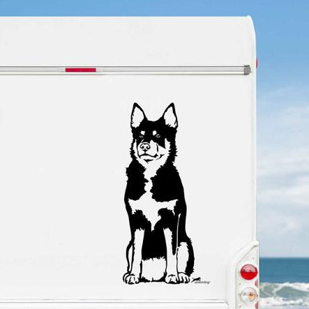 Lapinporokoira Lappländischer Rentierhund Aufkleber Auto, Wohnmobil & Wandtattoo - H30cm / Schwarz