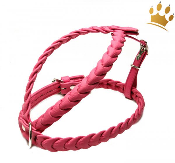 Leder-Hundegeschirr Ascot Himbeere