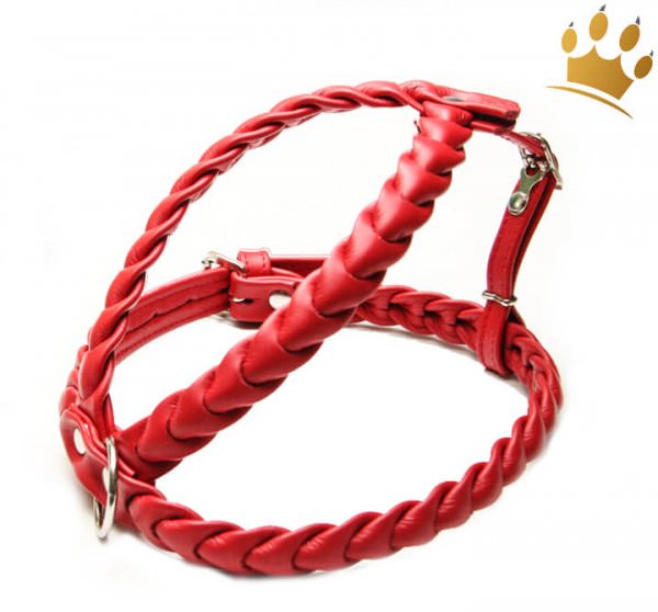 Leder-Hundegeschirr Ascot Rot