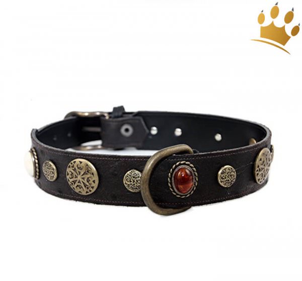 Lederhalsband Hermes Schwarz