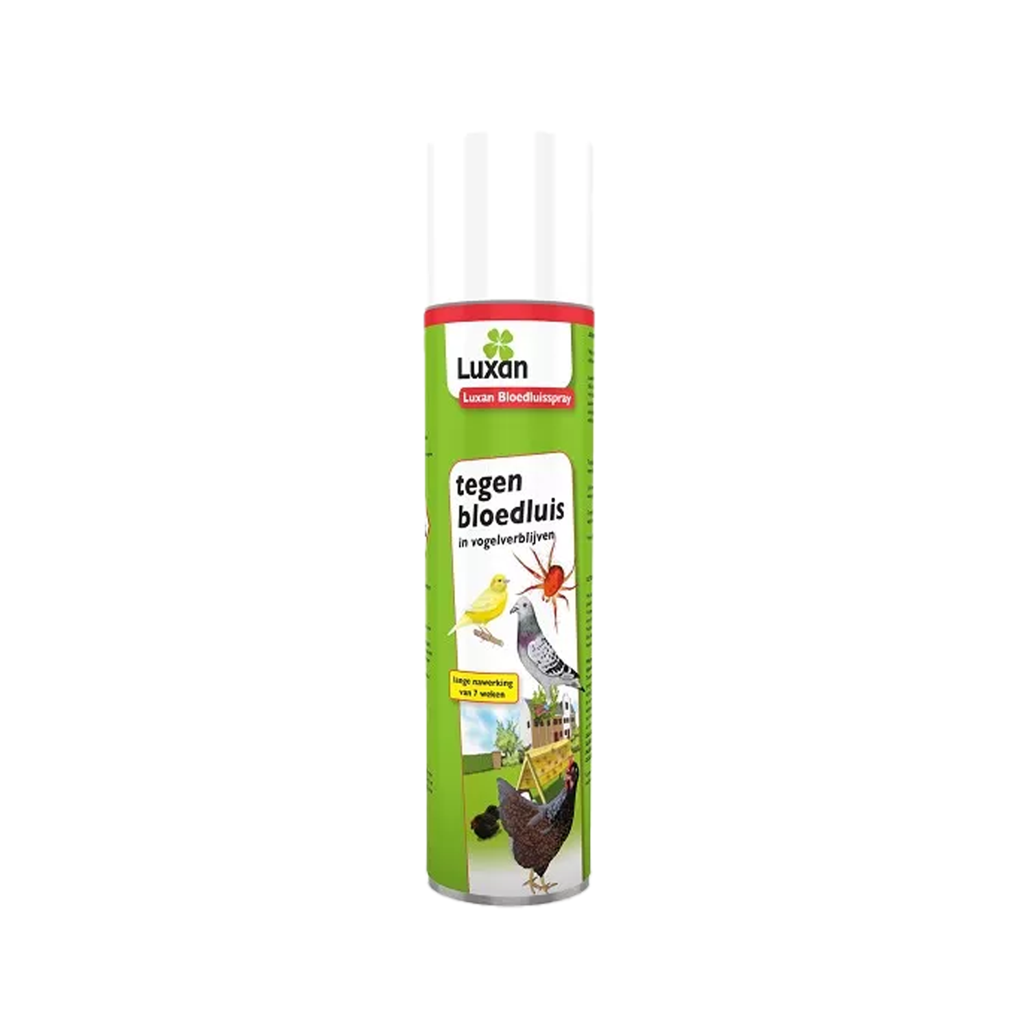 Luxan Blutläusespray - 500 ml Luxan Blutläusespray - 500 ml von Luxan