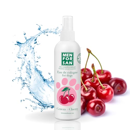 MENFORSAN Eau de Cologne für Hunde | Kirsche | Intensiver und erfrischender Duft | Deodorierende Wirkung | Mit sehr milden Inhaltsstoffen, die die Haut NICHT reizen | Mit neutralem pH-Wert | 125 ml MENFORSAN Eau de Cologne für Hunde | Kirsche | Intensiver und erfrischender Duft | Deodorierende Wirkung | Mit sehr milden Inhaltsstoffen, die die Haut NICHT reizen | Mit neutralem pH-Wert | 125 ml von Menforsan