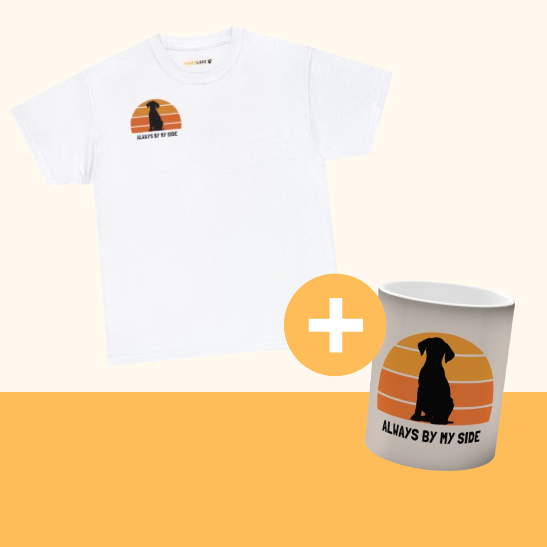 Magisches Bundle "Always" [Weiß]