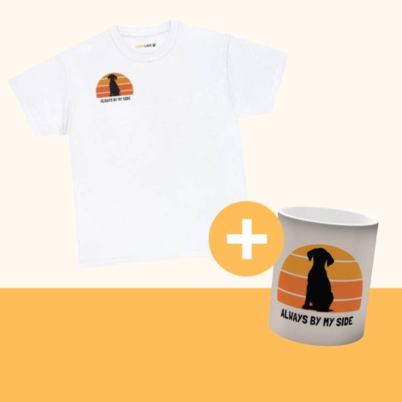 Magisches Bundle "Always" [Weiß]