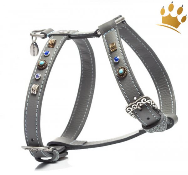 Malucchi Hundegeschirr Leder Ghibli Grey